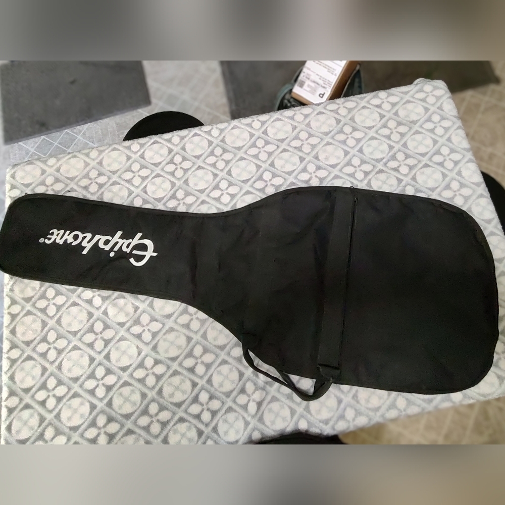 Epiphone guitar case